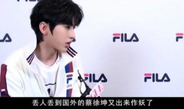 最新爆料娱乐圈蔡徐坤,娱乐圈再掀波澜