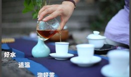 茶生活茶爆料视频