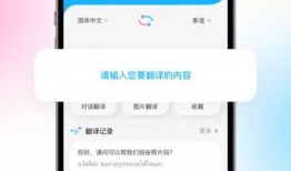 泰国翻译爆料视频,惊人内幕曝光